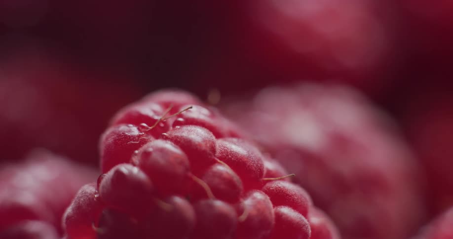 Close up view as light shines on raspberries