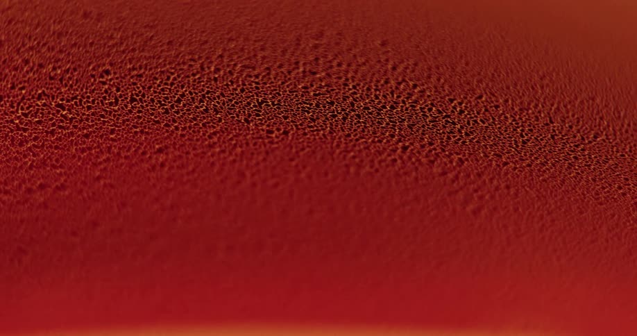 Small holes develop across the deep red surface as they move the texture expands