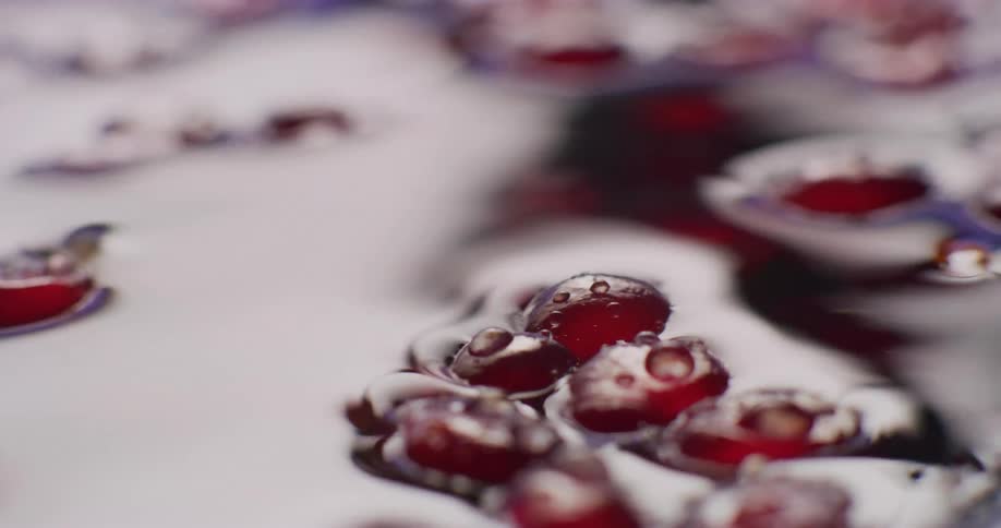 A few bunches of grapes are floating in water