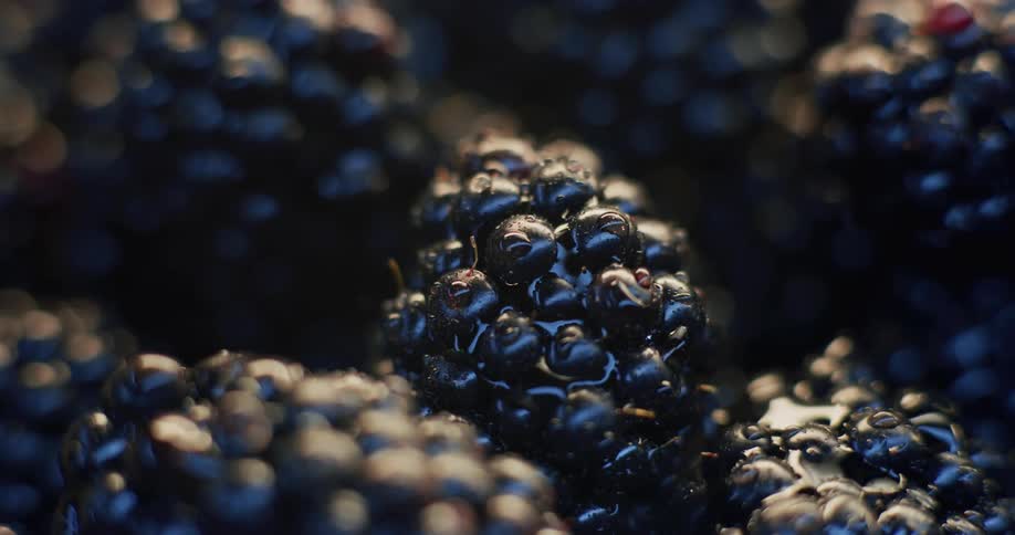 Close up of fresh blackberries