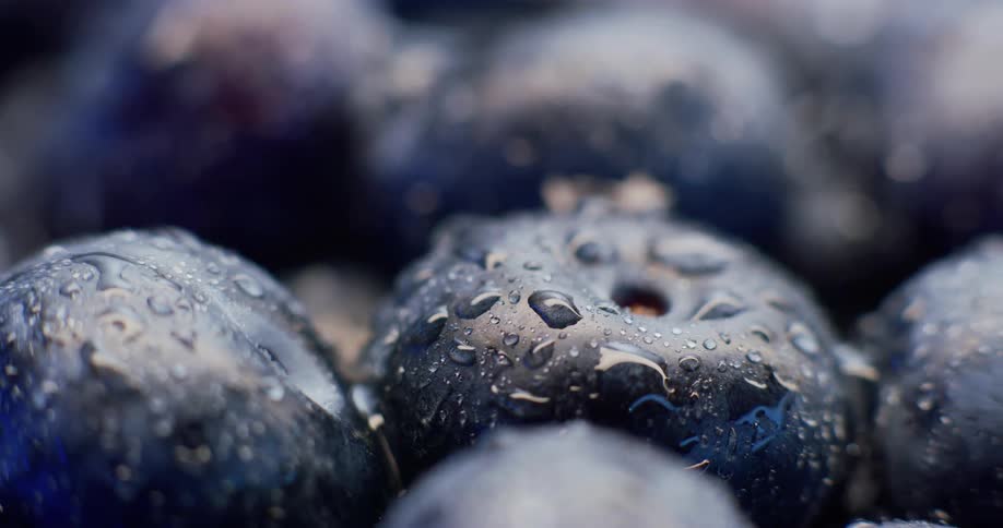 Close up of blueberries with water droplets