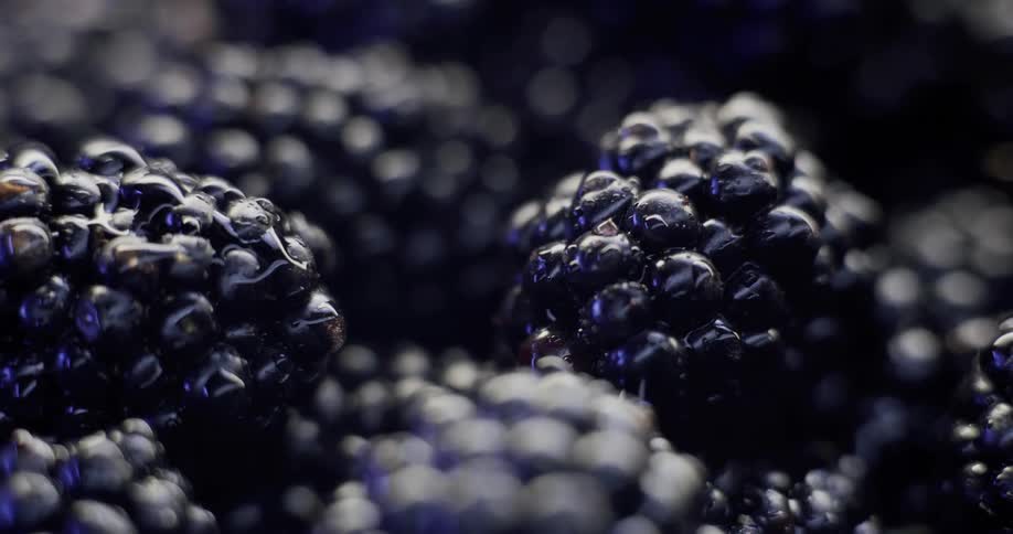 Close up of blackberries with water droplets