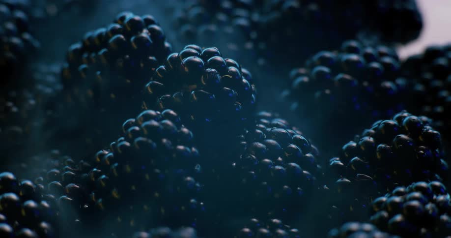 Steam rises from the blackberries