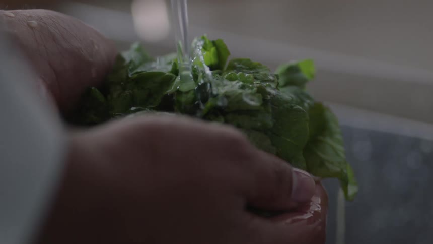 A person washes lettuce under a faucet