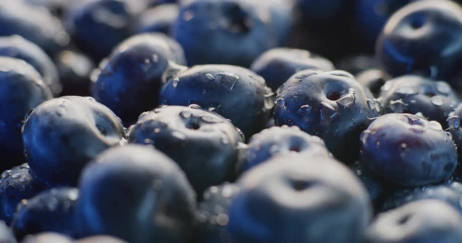 Close up of blueberries with water droplets
