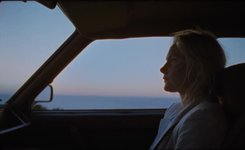 A woman gets in the passenger side of an automobile parked along the coast and closes the door