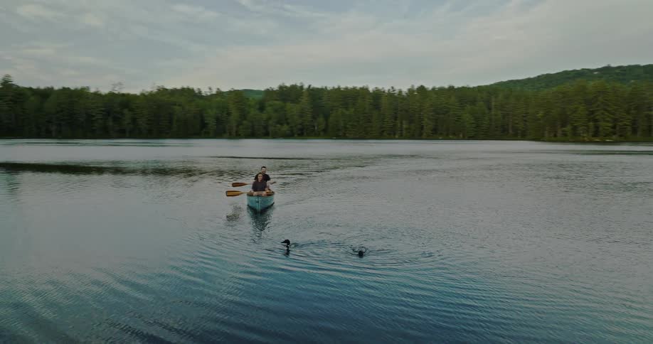 Two ducks are swimming in the water as a man and a woman are rowing their canoe across a river surrounded by forests