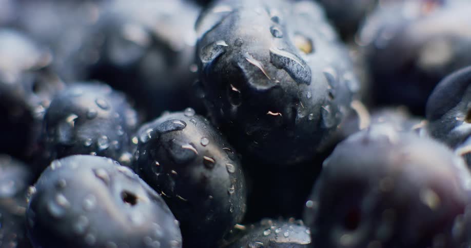 Extreme close up of water drops on fresh blueberries