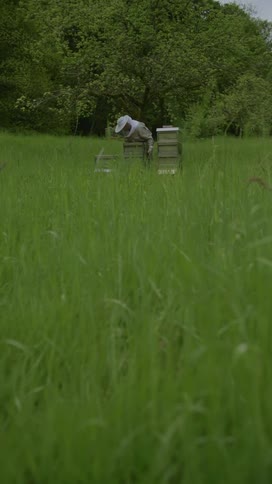 Beekeeper wearing protective gear works with manmade beehives in a field