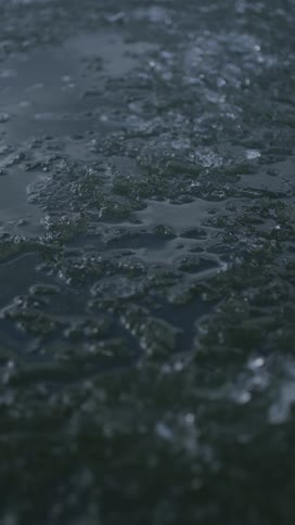 Both ice slush and water are tinted gray