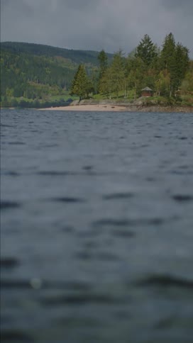 Ripples form in a lake along a forest