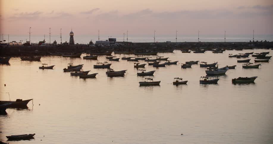 The boats are anchored around the port