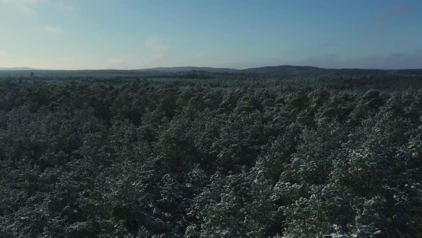 An aerial view of frosted trees in a forest