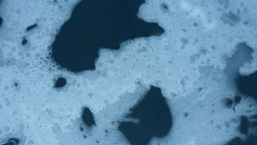 A white bubble water foam