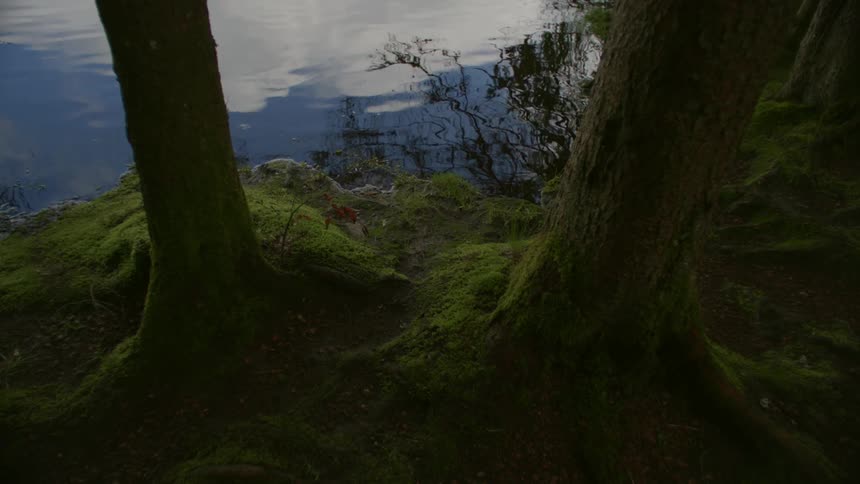The sky is reflecting on the water