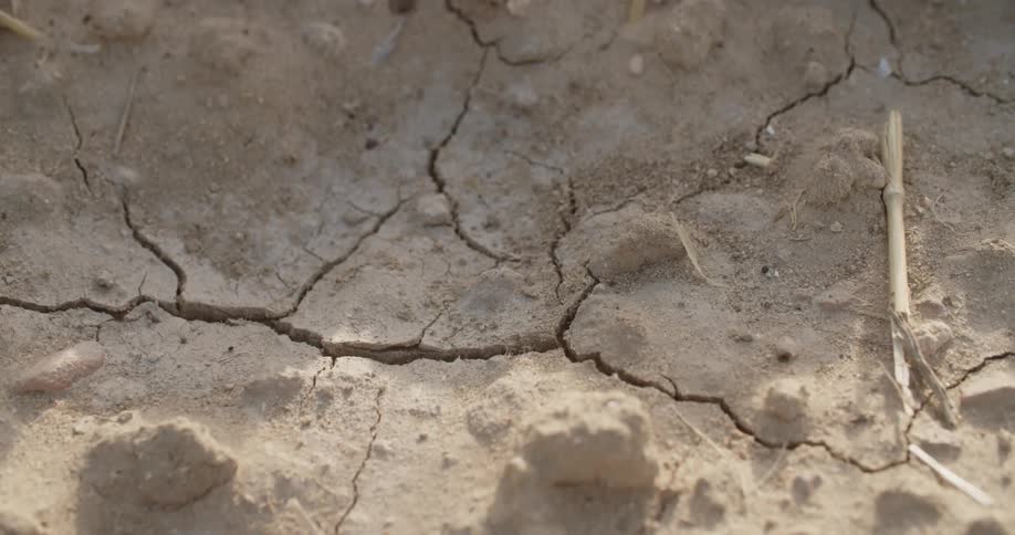 Close up view of sand in a desert is displayed