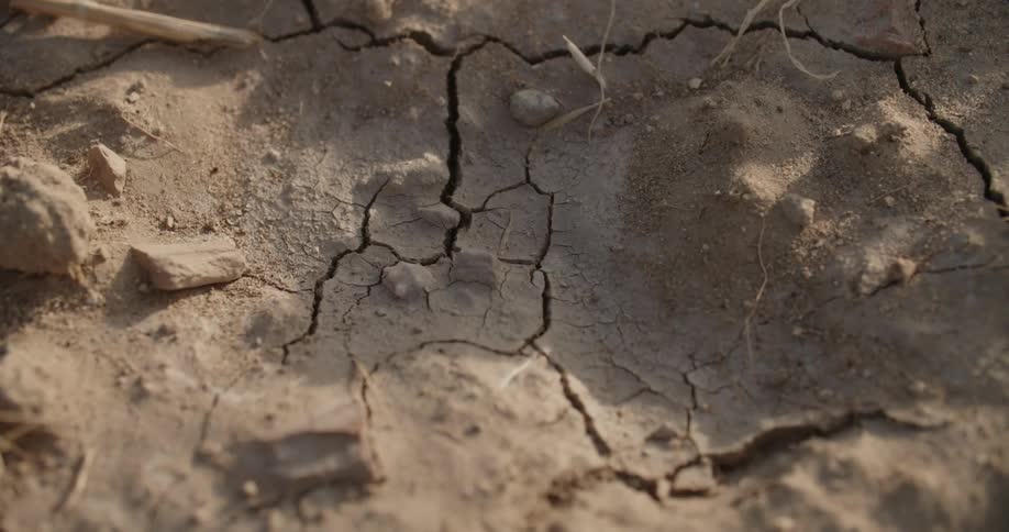Sunlight shines on the dry cracked dirt on the ground
