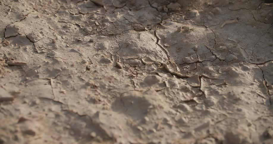 A dry and cracking area of dirt in the daytime