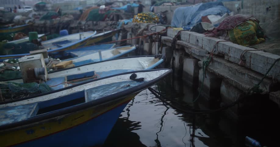 Boats tied up to a dock in a lake
