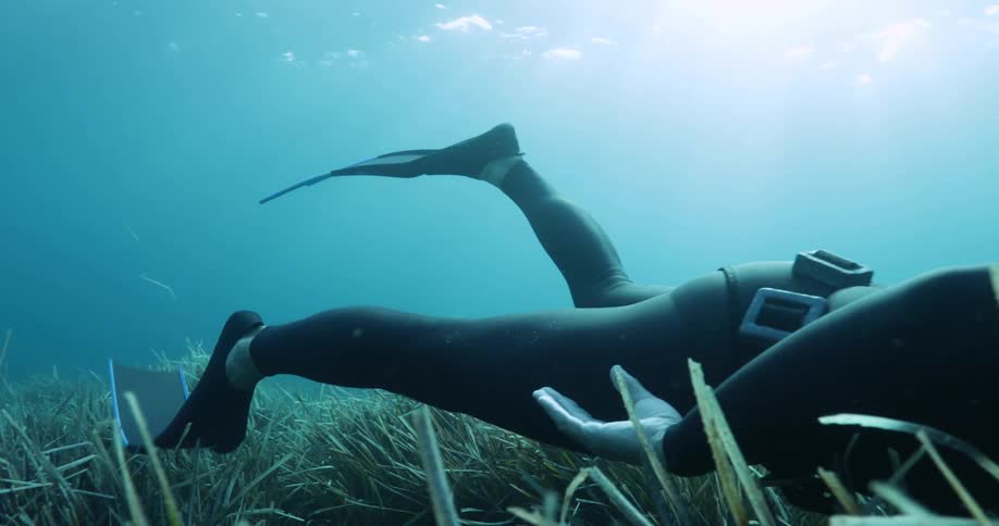 Diver wearing wetsuit swims over seagrass