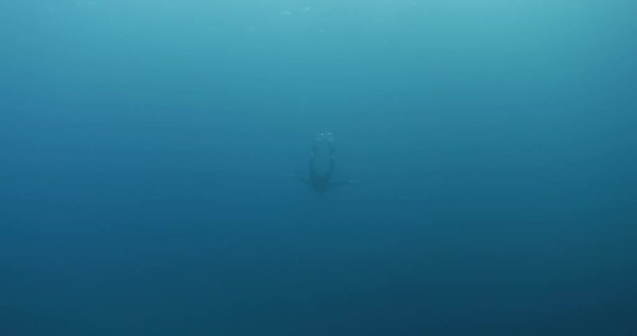 A person is scuba diving deep into the ocean water