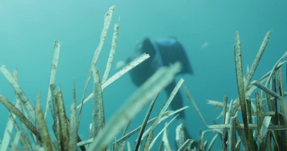 A scuba diver is swimming over the seabed as they swim up to the surface as the sun shines above