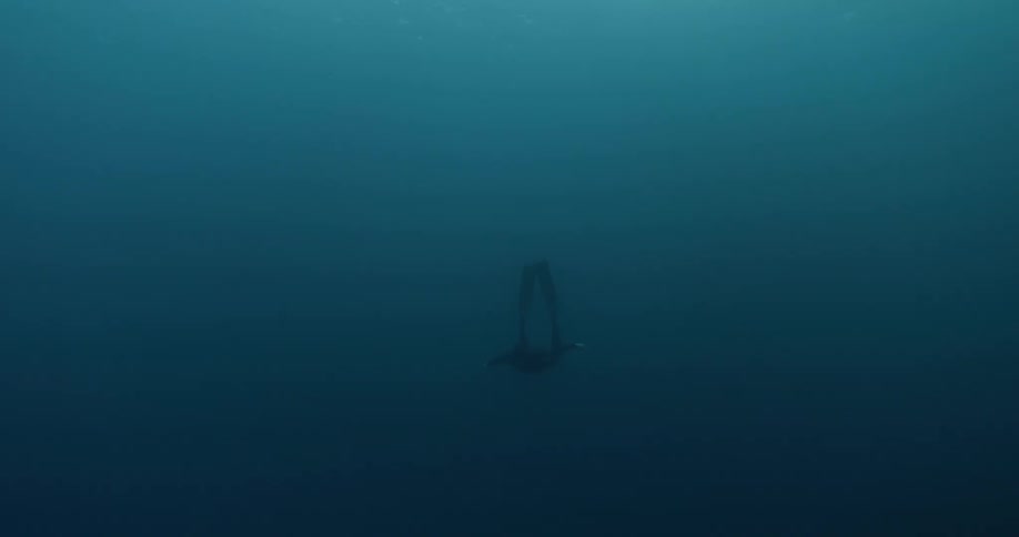 A diver underwater with flippers on floating