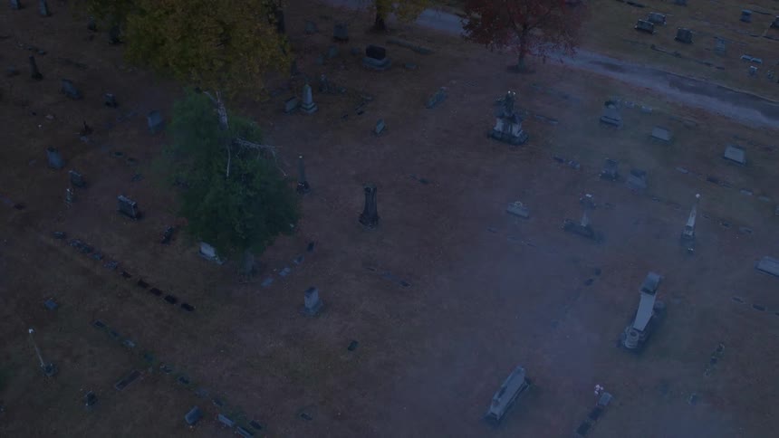 Birds fly over a foggy cemetery