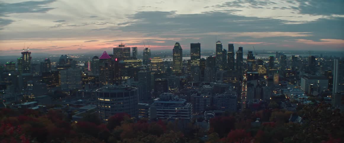 Skyscrapers are lit up at night in Montreal