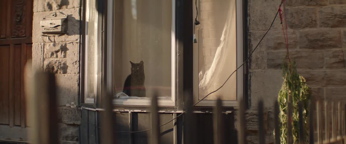 A cat looks out the bay window of its home