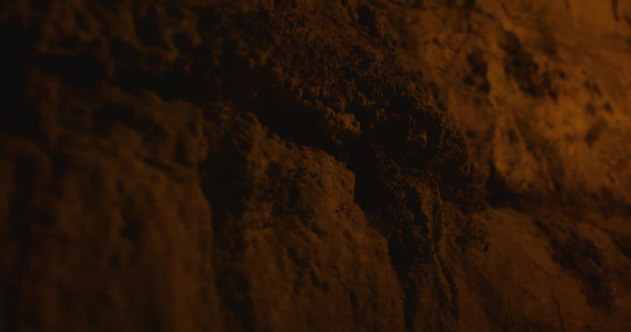 Firelight from a torch shines on the wall of a dark cave