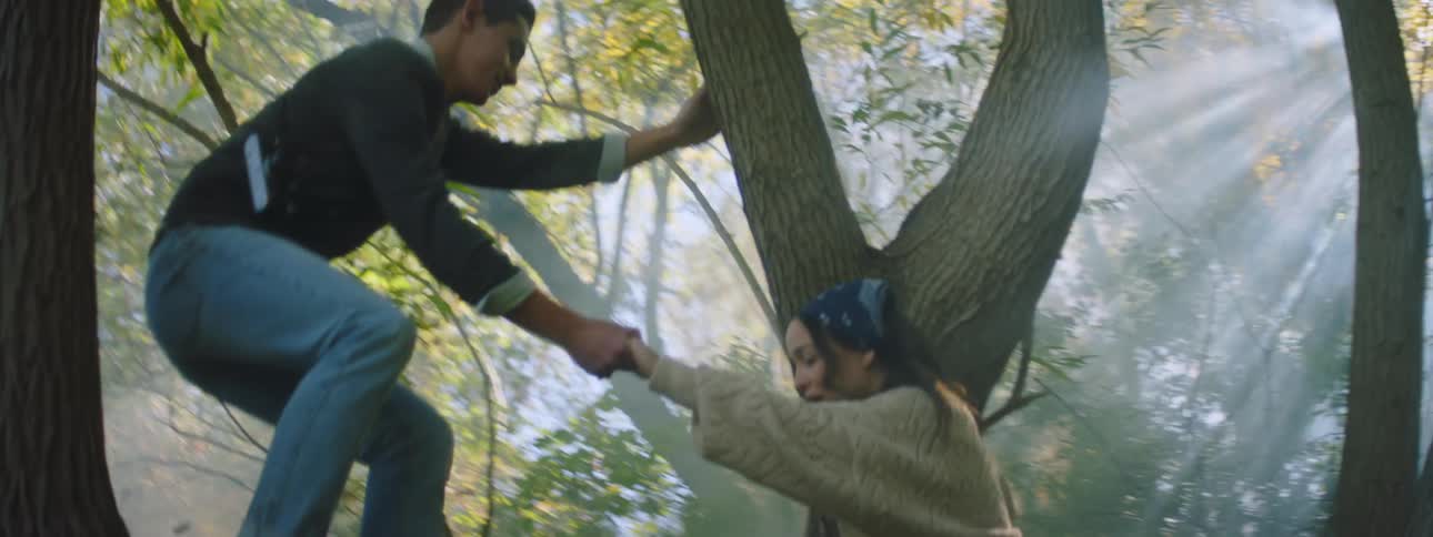 Man standing in tree helps woman up as sun shines through fog