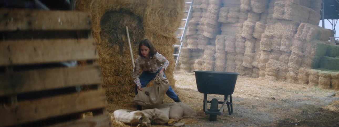A child is loading bags in the wheel barrel