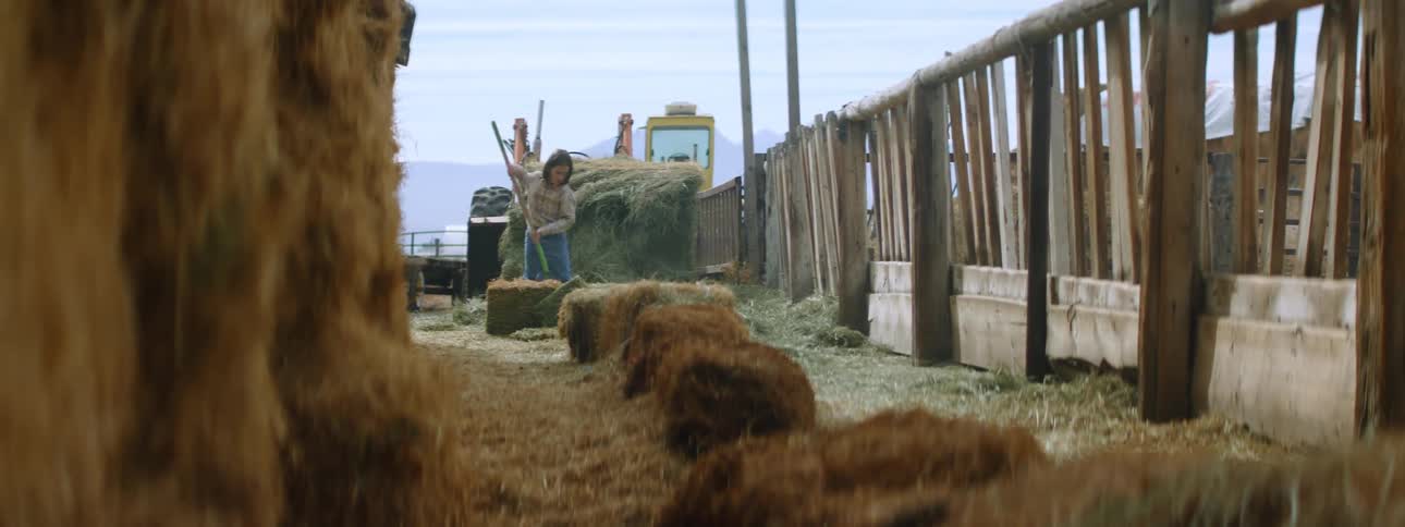 A child scooping hay and throwing it down at a fence