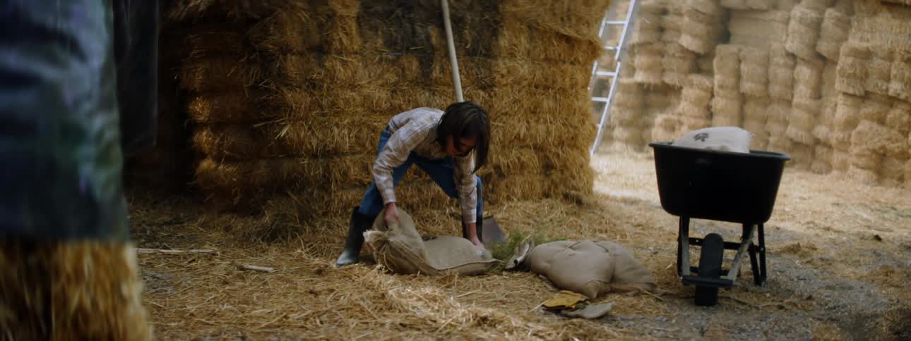 A boy putting sacks into a wheelbarrow next to a stack of hay bales