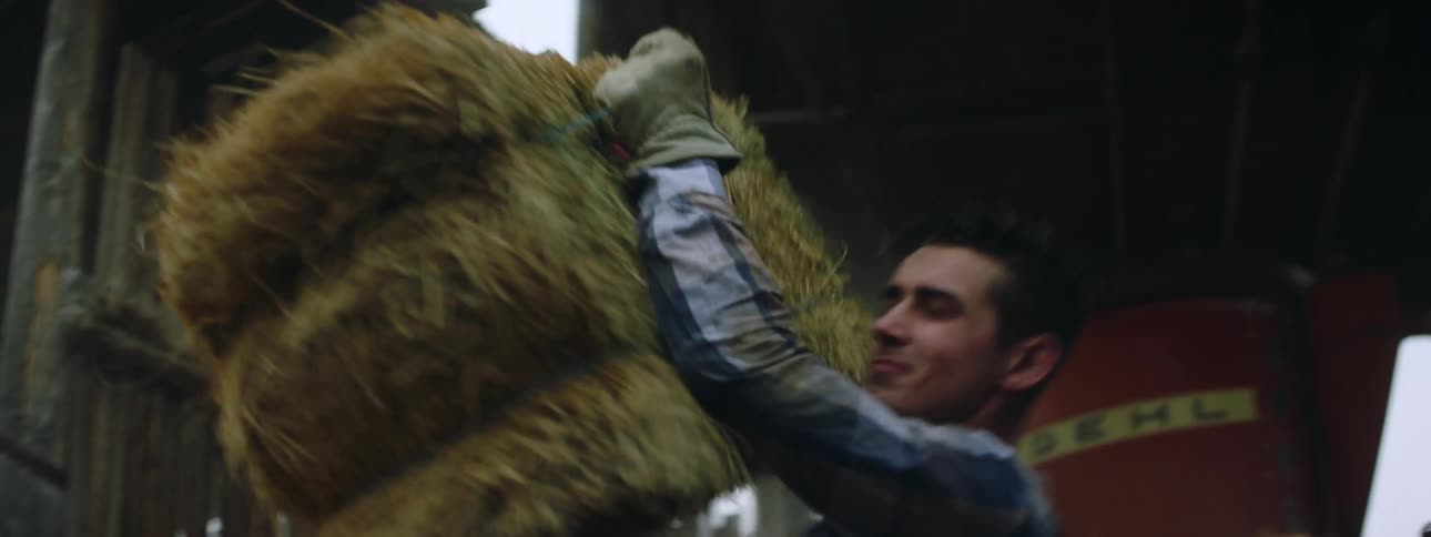 Man with plaid shirt and jeans carries straw bale in barn