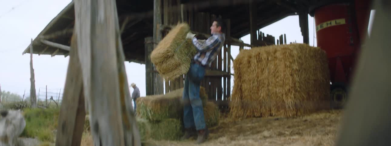 A man grabbing and carrying a square hay bale