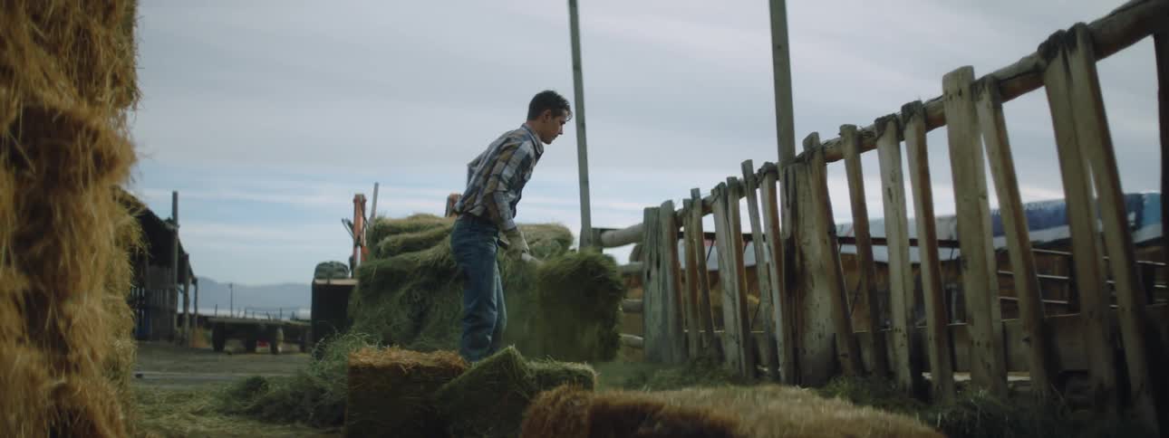 A man is moving hay with a pitchfork