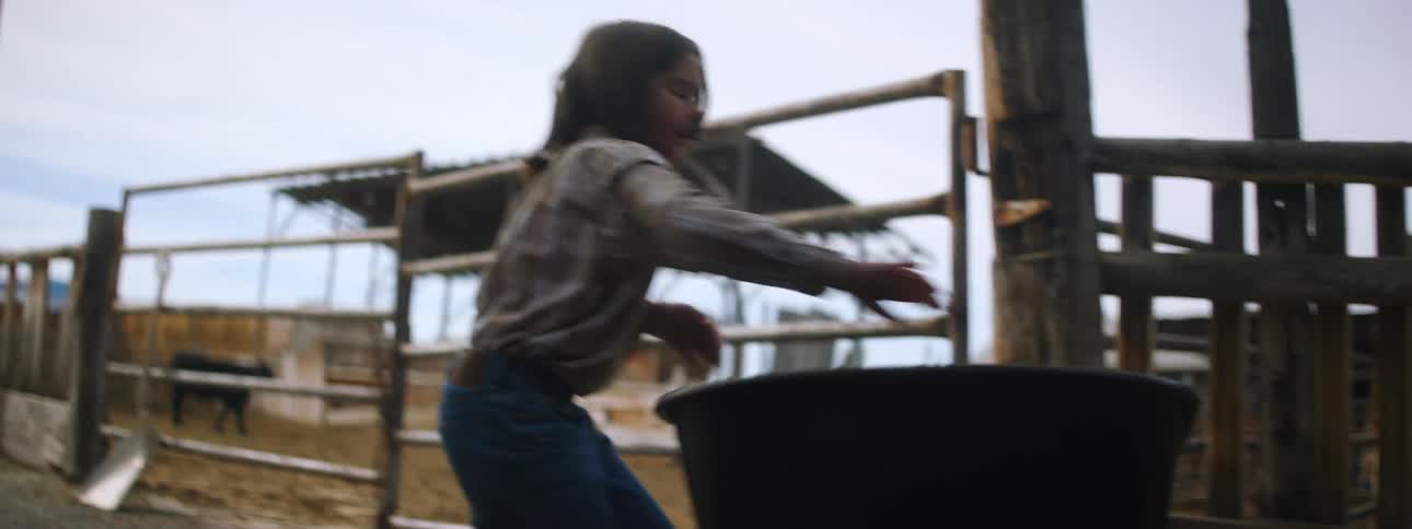 Youth near cattle corral has to right wheelbarrow that falls while he fills it multiple times