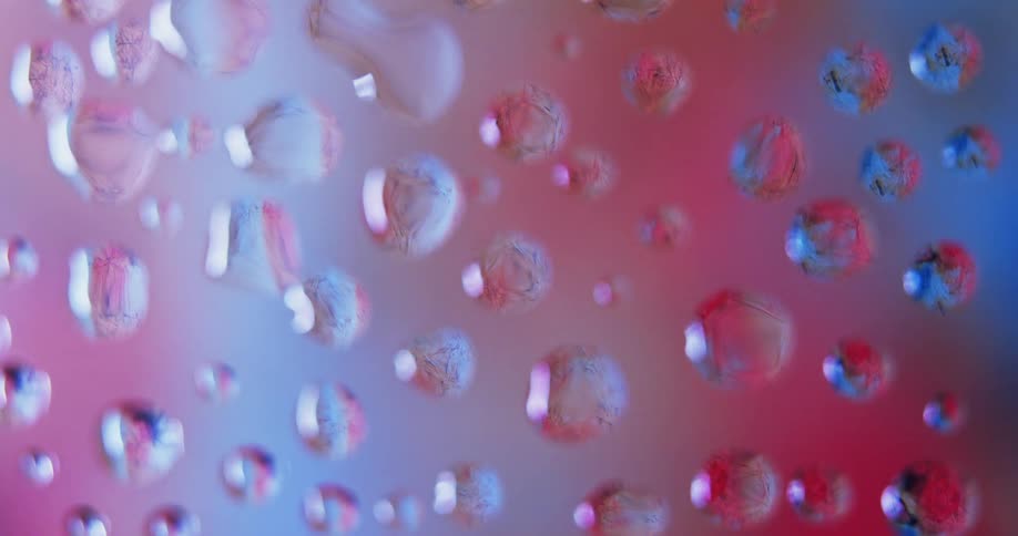 Droplets of water with reflections in them
