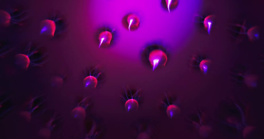Water droplets are on clear glass as pink light changes as it moves behind them and strands grow from the droplets