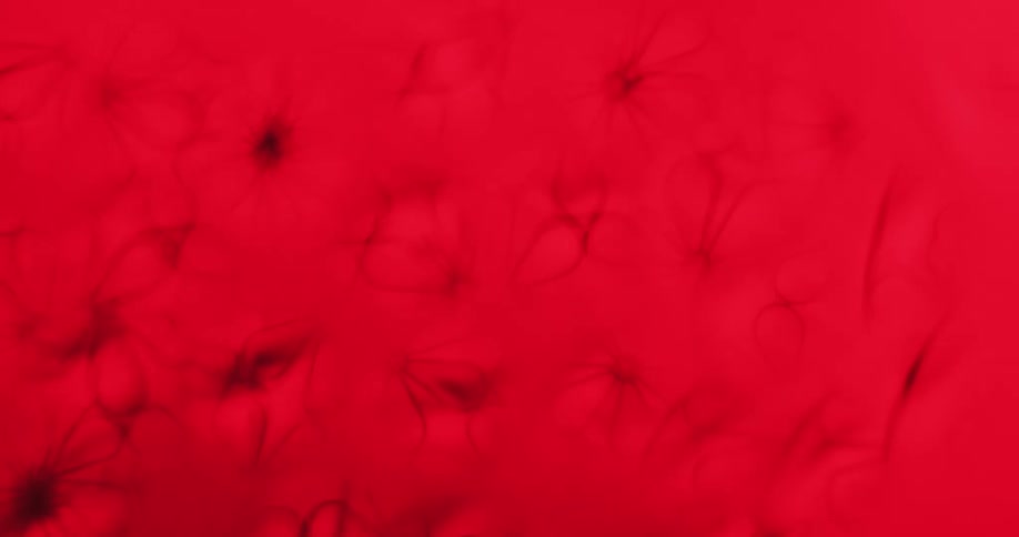 Water droplets sit on clear glass in the darkness as a red light shines texture develops inside the drops