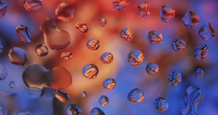 Something moves behind the wet glass