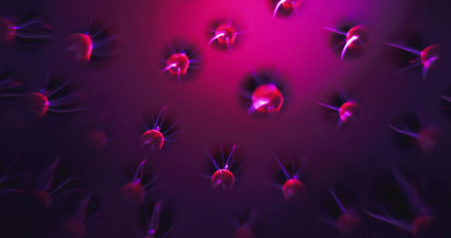 Light flows from the small spheres