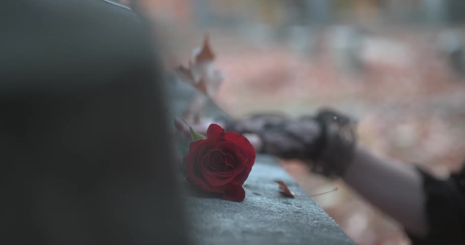 Flowers and leaves are around a hand on stone