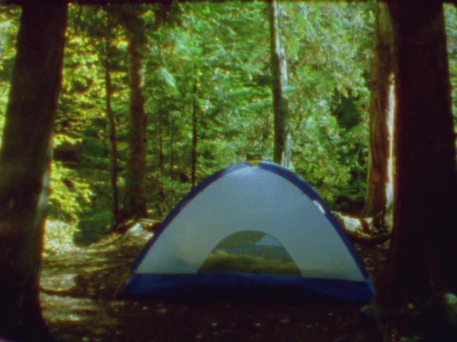 Blue and white tent sits in small clearing in forest