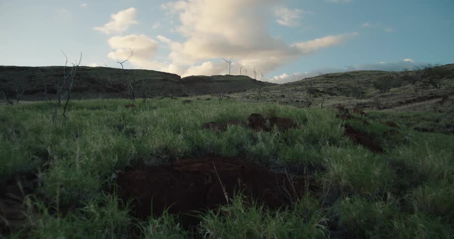 Static shot of the countryside with wind turbines standing over a distant hill in the evening