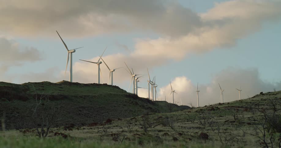 Wind turbines are lined up across the top of a green ridge