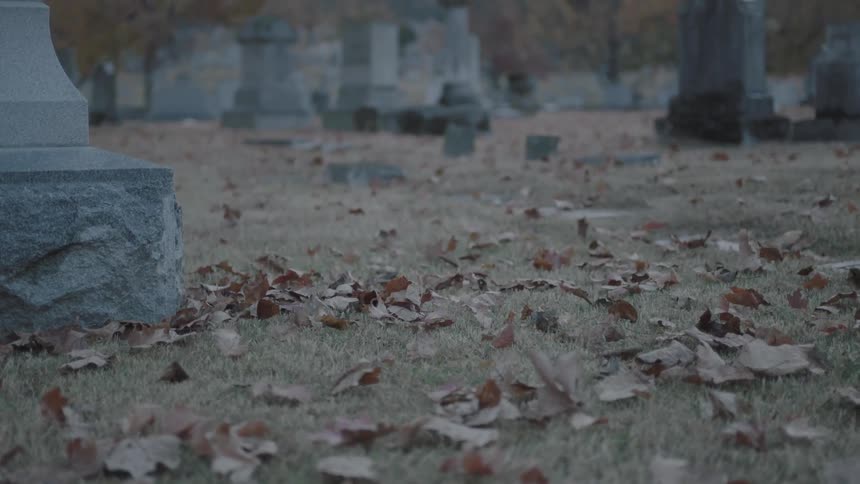 Leaves roll across the ground of a cemetery
