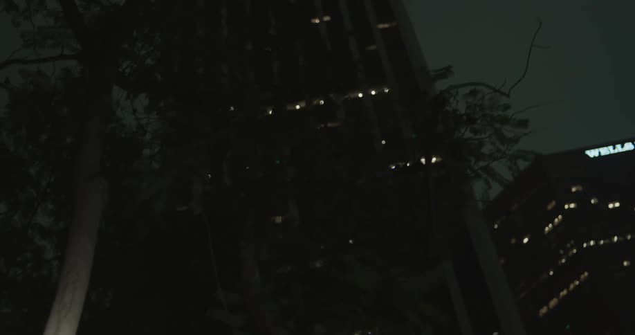 A light shines over a tree near downtown